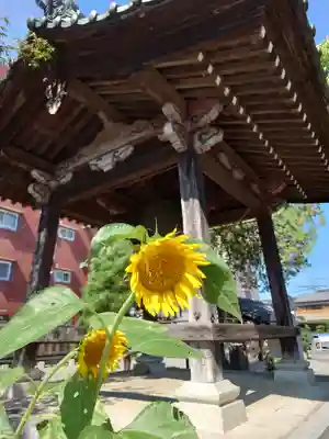 徳林寺(埼玉県)