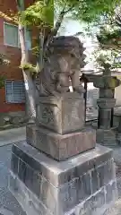 穏田神社の狛犬