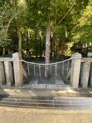 鎮西大社諏訪神社の{uncategorized: "未分類", other: "その他", undefined: "問題あり", building: "その他建物", grave: "お墓", sacred_gate: "鳥居", guardian: "狛犬", statue: "像", buddha: "仏像", history: "歴史", nature: "自然", garden: "庭園", animal: "動物", pagoda: "塔", temizu: "手水舎", mountain_gate: "山門・神門", sanctuary: "本殿・本堂", subordinate: "末社・摂社", art: "芸術", scenery: "景色", jizo: "地蔵", ema: "絵馬", goshuin: "御朱印", omikuji: "おみくじ", items: "授与品その他", amulet: "お守り", goshuincho: "御朱印帳", eats: "食事", festival: "お祭り", votive_dance: "神楽", shichigosan: "七五三参", wedding: "結婚式", experience: "体験その他", initially: "初詣", around: "周辺", anti_infection: "感染症対策"}