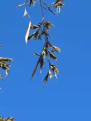 国宝 大法寺(長野県)