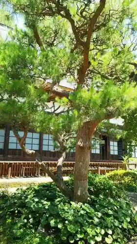 大蔵寺の本殿・本堂