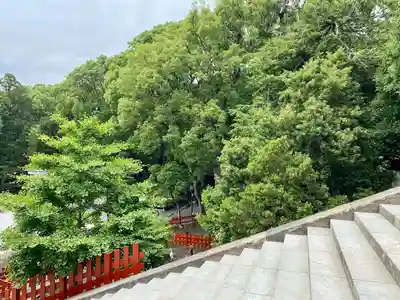 鶴岡八幡宮(神奈川県)