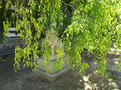 屯倉神社の狛犬