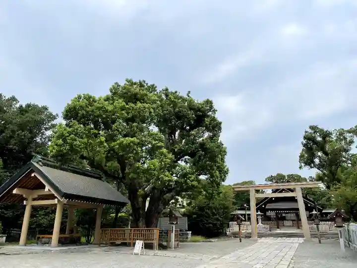 和泉國一之宮 大鳥大社(大阪府)