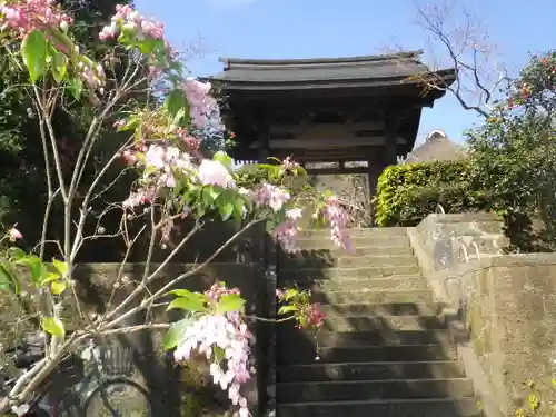 海蔵寺の山門