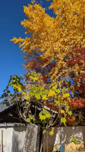 西雲院(京都府)