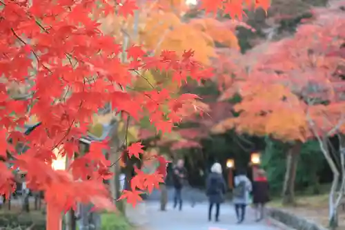 大原野神社の自然