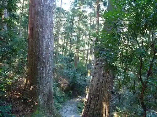 飛瀧神社（熊野那智大社別宮）(和歌山県)