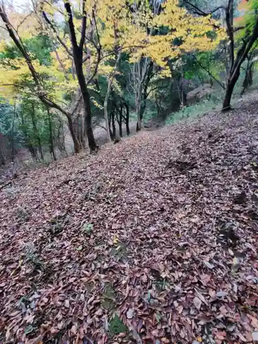 嘉多山稲荷(栃木県)