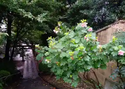 田端八幡神社(東京都)