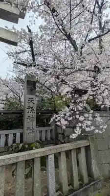 天孫神社(滋賀県)