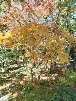覚園寺(神奈川県)