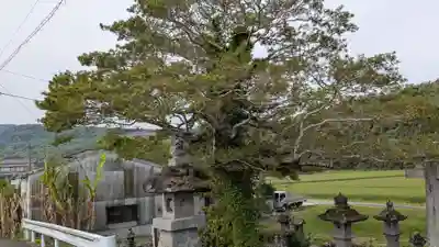 岩崎神社の自然