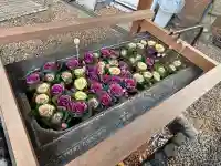 上目黒氷川神社(東京都)