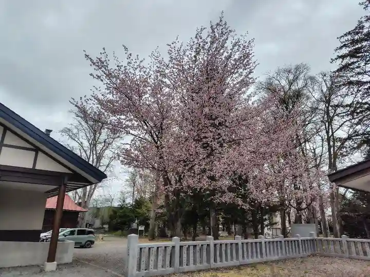 永山神社の自然