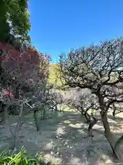 道明寺天満宮の自然