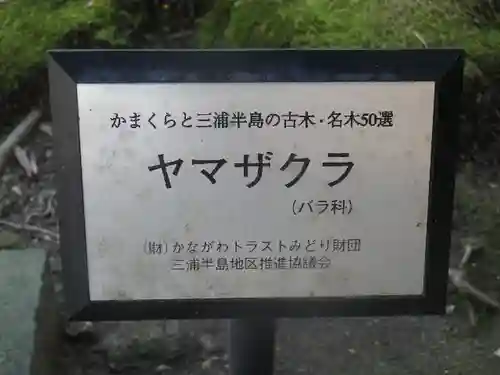 安國論寺（安国論寺）のその他建物