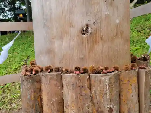 諏訪大社上社前宮のその他建物