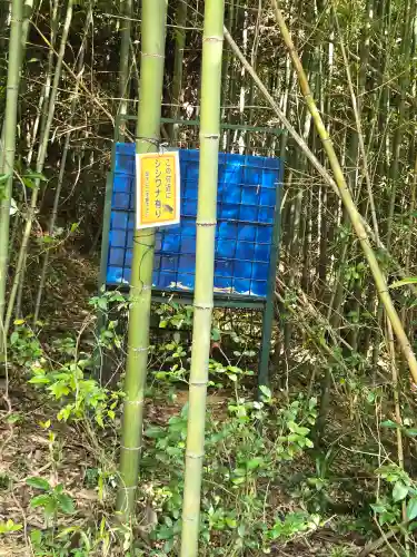 葉梨神社(静岡県)