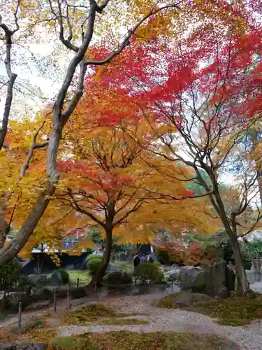 洞窟観音・徳明園・山徳記念館の景色