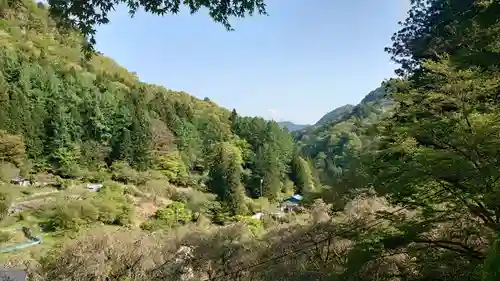 金櫻神社の景色