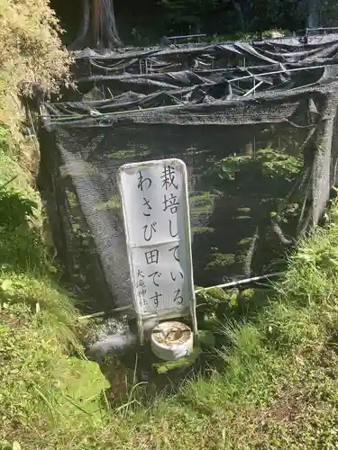 大滝神社(山梨県)