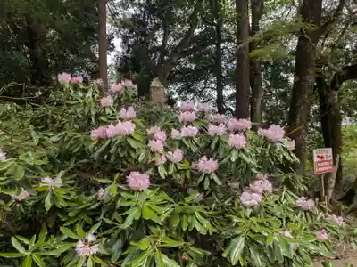 成相寺(京都府)