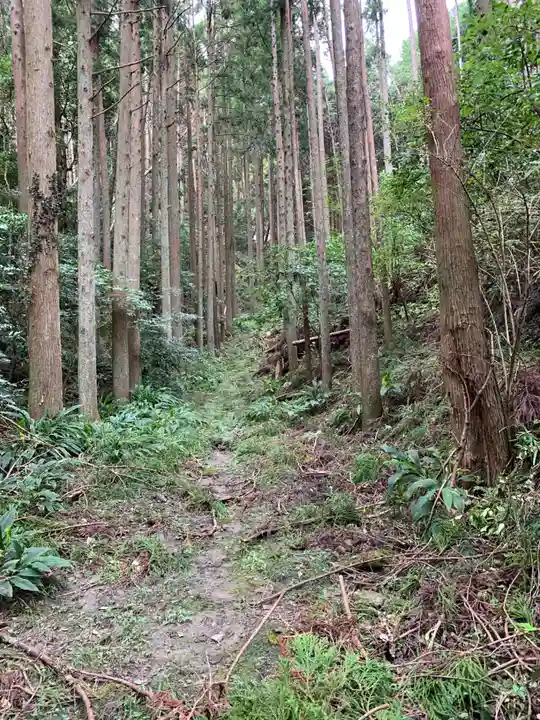 佐室浅野神社の自然
