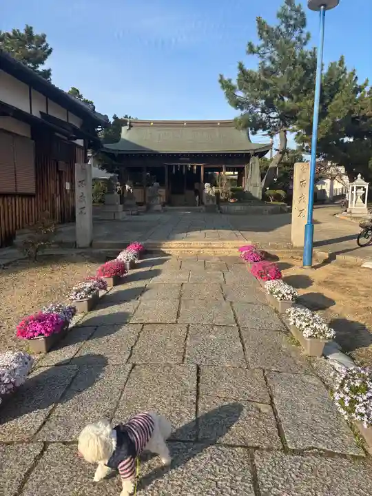 大年神社(兵庫県)