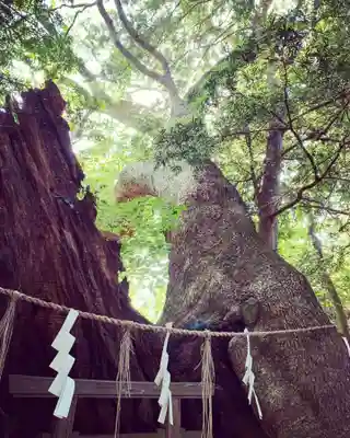 住吉神社(山口県)