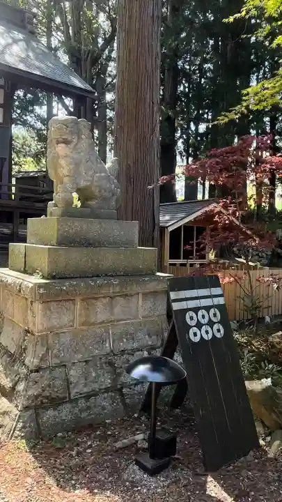 山家神社の狛犬