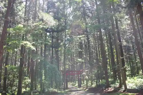 水分神社の自然