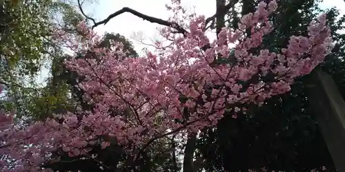 平野神社の自然