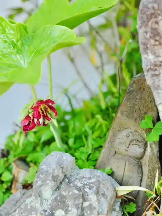 浄土寺(兵庫県)