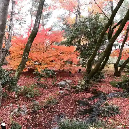 宝厳院の景色