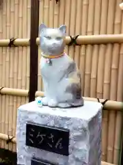 高円寺氷川神社(東京都)