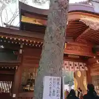 大國魂神社のその他建物