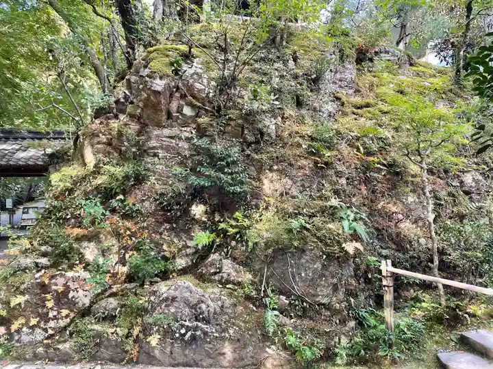 高山寺(京都府)