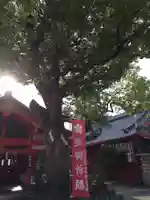 足の神様 服部天神宮の本殿・本堂