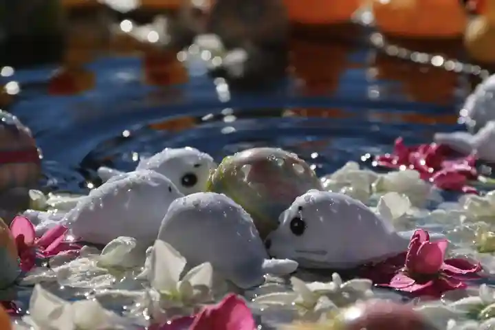 阿邪訶根神社の手水舎