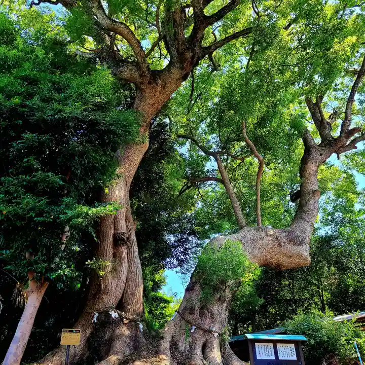 賀久留神社(静岡県)
