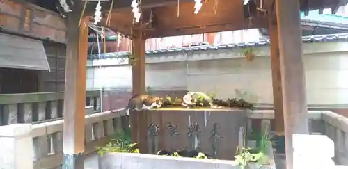 小野照崎神社の手水舎