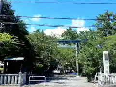 焼津神社の鳥居