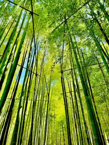 報国寺(神奈川県)