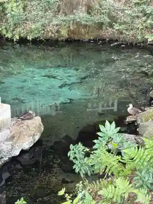 泉神社(茨城県)