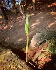 滑川神社 - 仕事と子どもの守り神の自然