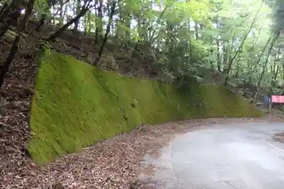 深山巴の宿の周辺