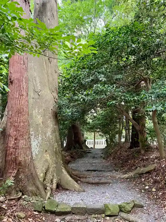 祓戸神社(新潟県)