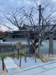 宮地嶽神社の自然