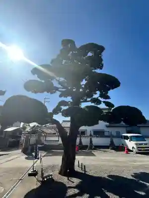 真如寺(大阪府)